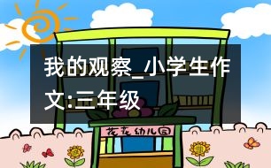 我的觀察_小學(xué)生作文:三年級