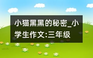 小貓黑黑的秘密_小學生作文:三年級