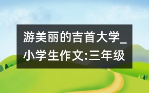 游美麗的吉首大學_小學生作文:三年級