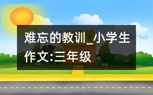 難忘的教訓_小學生作文:三年級