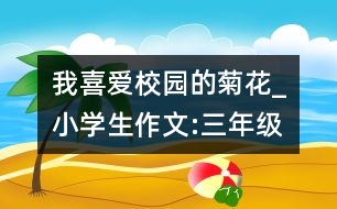 我喜愛校園的菊花_小學生作文:三年級