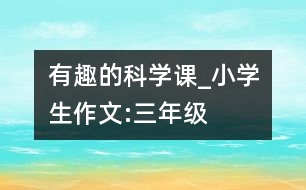 有趣的科學(xué)課_小學(xué)生作文:三年級(jí)