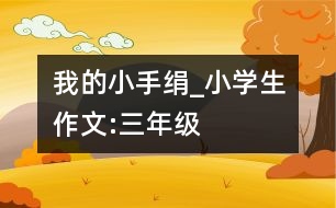 我的小手絹_小學生作文:三年級