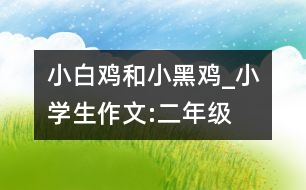 小白雞和小黑雞_小學生作文:二年級