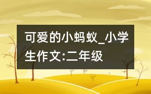 可愛的小螞蟻_小學(xué)生作文:二年級