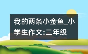 我的兩條小金魚_小學生作文:二年級