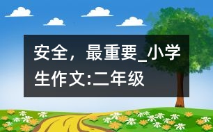 安全，最重要_小學(xué)生作文:二年級(jí)