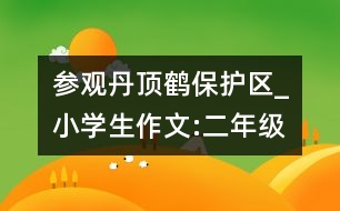 參觀丹頂鶴保護(hù)區(qū)_小學(xué)生作文:二年級(jí)