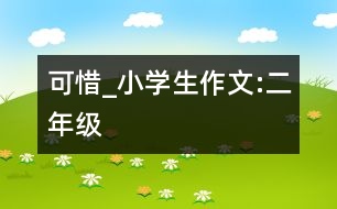 可惜_小學生作文:二年級