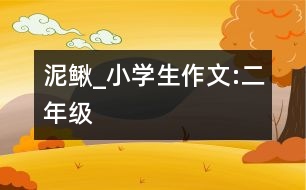 泥鰍_小學(xué)生作文:二年級(jí)