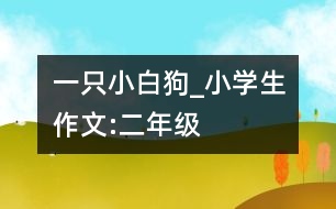 一只小白狗_小學生作文:二年級