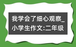 我學會了細心觀察_小學生作文:二年級