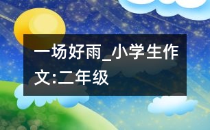 一場好雨_小學(xué)生作文:二年級