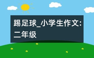 踢足球_小學(xué)生作文:二年級(jí)