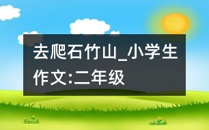 去爬石竹山_小學(xué)生作文:二年級