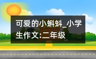 可愛的小蝌蚪_小學(xué)生作文:二年級