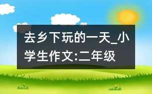 去鄉(xiāng)下玩的一天_小學生作文:二年級