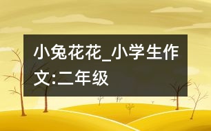 小兔花花_小學(xué)生作文:二年級