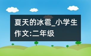 夏天的冰雹_小學(xué)生作文:二年級