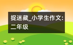 捉迷藏_小學(xué)生作文:二年級(jí)