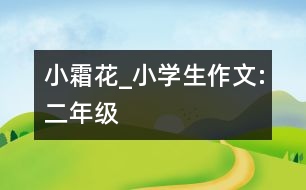 小霜花_小學生作文:二年級