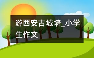 游西安古城墻_小學生作文