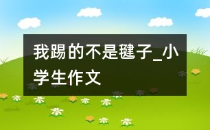 我踢的不是毽子_小學(xué)生作文