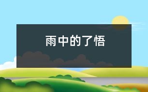 雨中的了悟