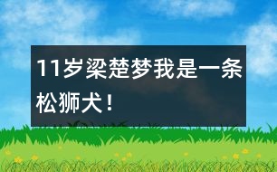 11歲梁楚夢(mèng)：我是一條松獅犬！