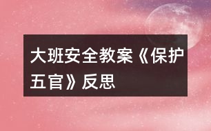 大班安全教案《保護(hù)五官》反思