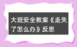 大班安全教案《走失了怎么辦》反思