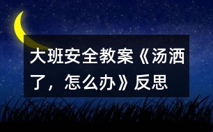 大班安全教案《湯灑了，怎么辦》反思