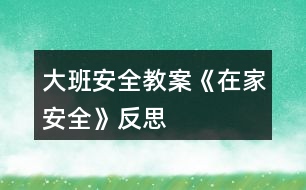 大班安全教案《在家安全》反思