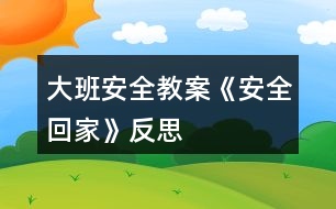 大班安全教案《安全回家》反思