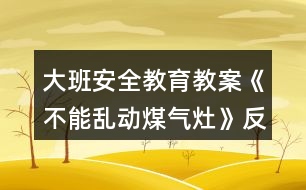 大班安全教育教案《不能亂動煤氣灶》反思