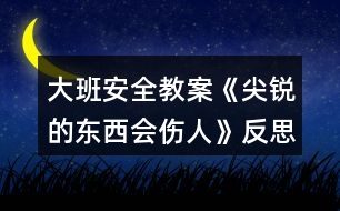 大班安全教案《尖銳的東西會(huì)傷人》反思