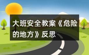 大班安全教案《危險(xiǎn)的地方》反思