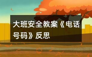 大班安全教案《電話號(hào)碼》反思