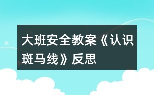 大班安全教案《認識斑馬線》反思