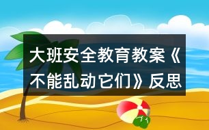 大班安全教育教案《不能亂動它們》反思