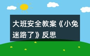 大班安全教案《小兔迷路了》反思