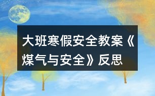 大班寒假安全教案《煤氣與安全》反思