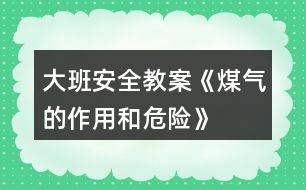 大班安全教案《煤氣的作用和危險》