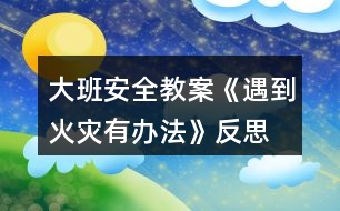 大班安全教案《遇到火災(zāi)有辦法》反思