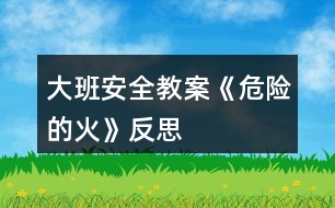 大班安全教案《危險(xiǎn)的火》反思