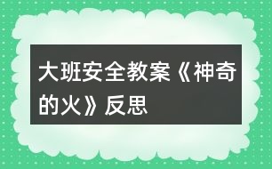 大班安全教案《神奇的火》反思