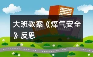 大班教案《煤氣安全》反思