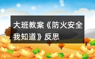 大班教案《防火安全我知道》反思