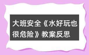 大班安全《水好玩也很危險》教案反思