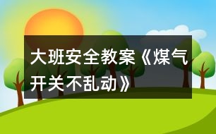 大班安全教案《煤氣開關(guān)不亂動》